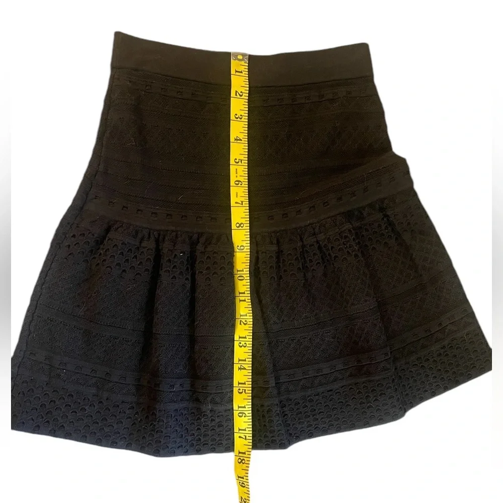 BCBG Black Embroidered Black Mini Skirt, Small - Picture 3 of 6